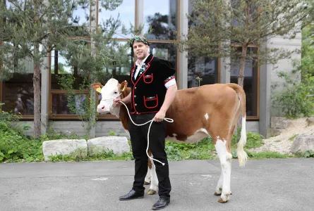 Mit Kuh
